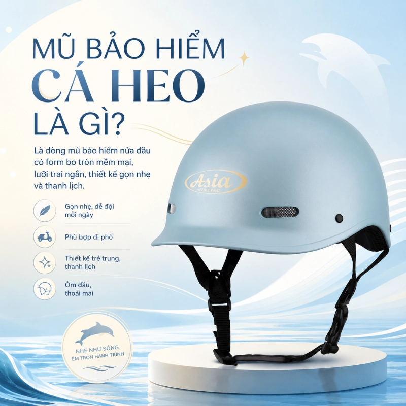 Mũ bảo hiểm cá heo là gì?